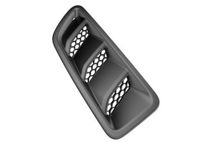 Jeep 68307289AC BEZEL Hood