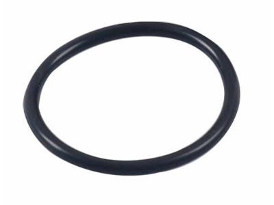 Jeep 52108323AA O RING Adapter Plug
