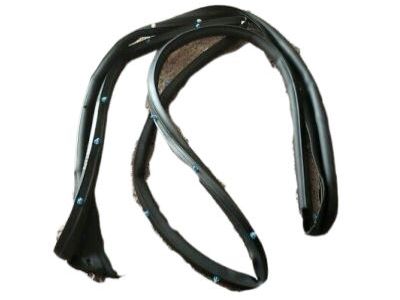 2004 Chrysler Sebring Weather Strip - 4878788AA