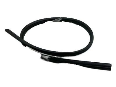 Dodge 5076872AA WEATHERSTRIP Rear Door Flush Glass