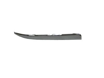Dodge 5113731AB Trim Molding