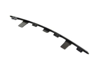 Chrysler 68228876AA Lower Molding