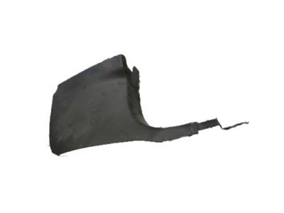 Dodge 1FT54XDVAD Cowl Panel