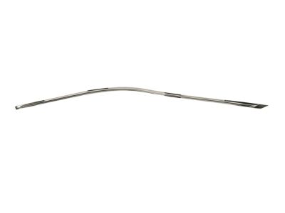 Mopar 68224369AD Molding Day Light Opening Front Door