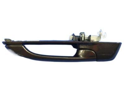 Ram 1GH18LAUAD HANDLE Exterior Door