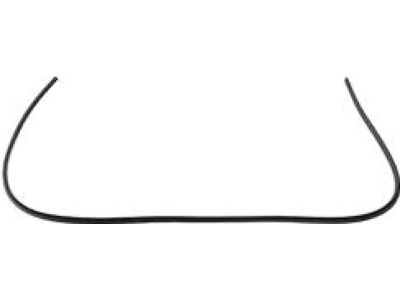 Mopar 5074643AD Weatherstrip Front Door Body Mounted