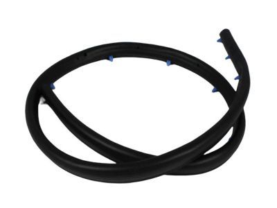 Mopar 55394042AD Seal Front Door