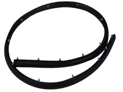 Mopar 55394042AD Seal Front Door