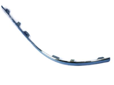 Dodge 4806363AA Bumper Cover Strip