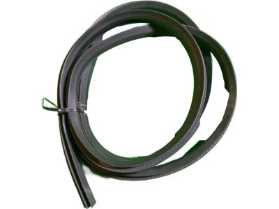 Mopar 1DZ08XXXAE Weatherstrip Rear Door Body Mounted