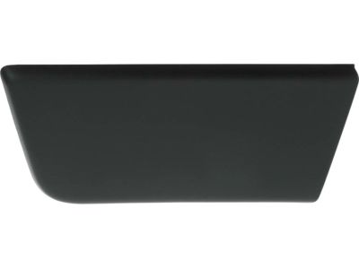 Mopar 1ZT55JXWAB Body Side Molding, Front Driver Side