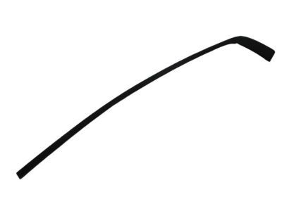 Dodge 57010507AJ MOLDING Day Light Opening Rear Door