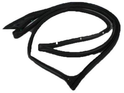 Ram 55112357AE WEATHERSTRIP Front Door Mounted