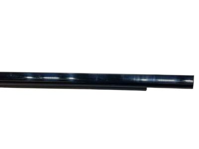 Jeep 68257255AE Belt Weatherstrip