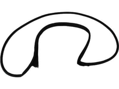Mopar 5065991AC Weatherstrip Front Door Mounted Door Mounted