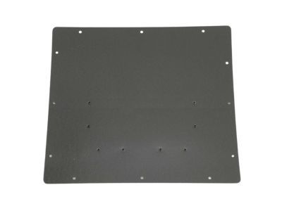 Ram 1ZP81LAHAA PANEL Rear Door