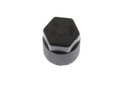 Jeep A/C Service Cap - 5101913AA