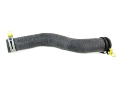 Dodge 5005311AB Lower Hose