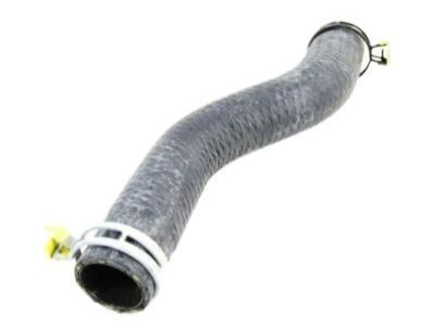 Dodge 5005311AB Lower Hose