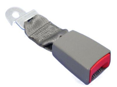 Dodge Grand Caravan Seat Belt - ZV901D5AA