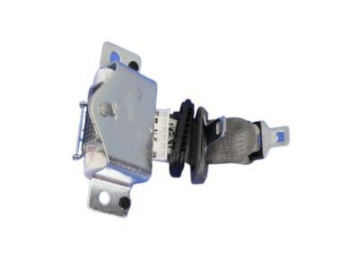 Dodge Grand Caravan Seat Belt - ZV841D5AB