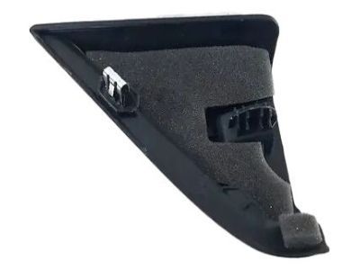 Dodge Mirror Cover - 1TR41DX9AB