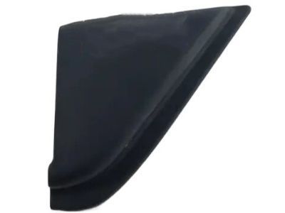 Dodge Mirror Cover - 1TR41DX9AB