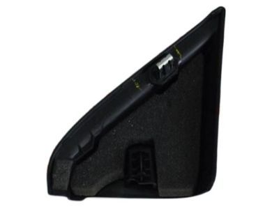 Dodge Mirror Cover - 1TR41DX9AB