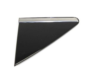 Chrysler 5116188AC Applique