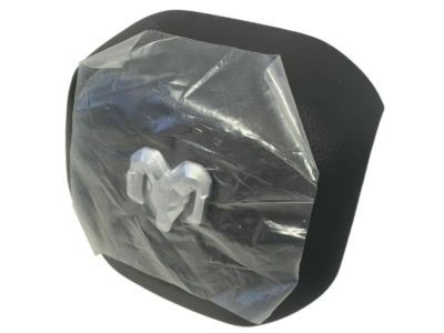 Ram 6BK151XLAF AIR BAG Driver