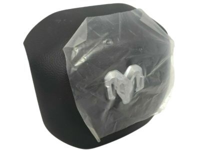 Ram 6BK151XLAF AIR BAG Driver