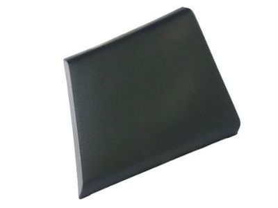 Ram 1ZT50LAHAA Body Side Molding