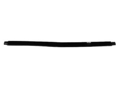 Dodge Durango Door Seal - 55362204AE