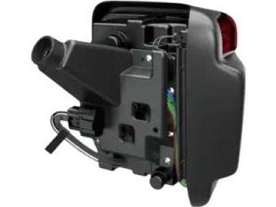 Mopar 68474044AA Lamp Tail, Rear Passenger Side