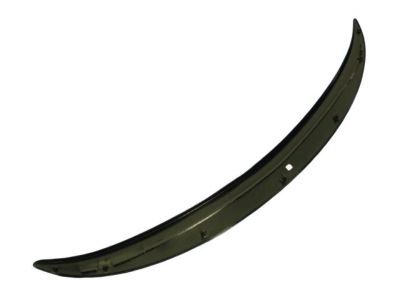 Chrysler 4805701AB Molding