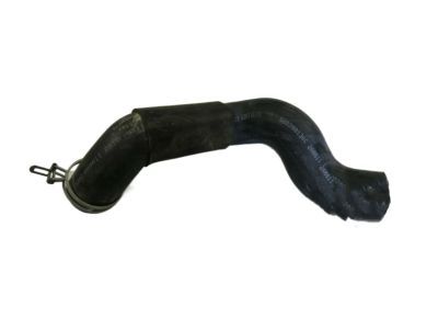 Dodge Durango Radiator Hose - 52028813AC