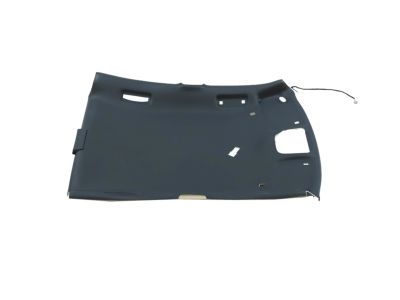 Mopar 6RG18DX9AC Headliner