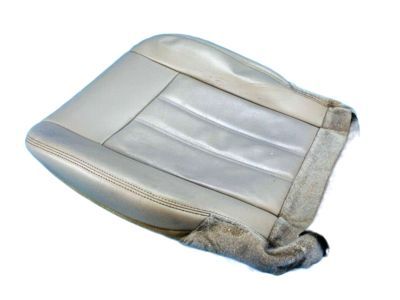 Chrysler Seat Cover - 5LE19DX9AA