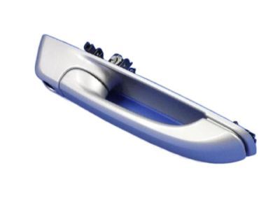 Ram 1GH21WS2AD HANDLE Exterior Door