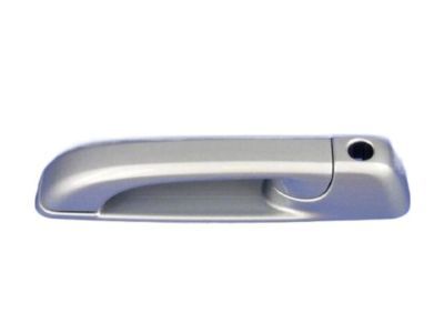 Ram 1GH21WS2AD HANDLE Exterior Door