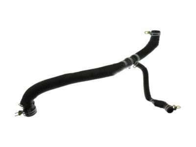 Jeep 52014834AD Lower Hose