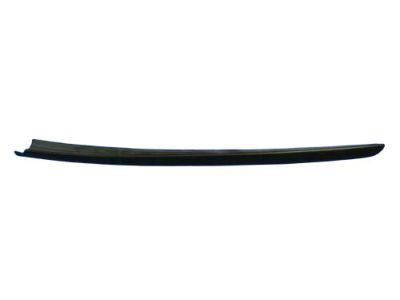 Chrysler 5303675AD Side Molding
