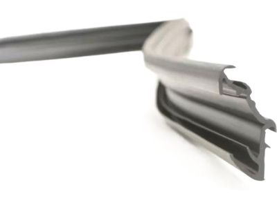 Mopar 55399191AE Weatherstrip Front Door Glass Running