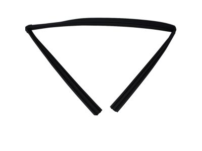 Mopar 55399191AE Weatherstrip Front Door Glass Running