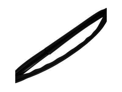 Mopar 55399191AE Weatherstrip Front Door Glass Running