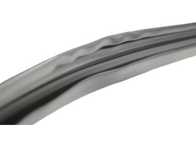 Mopar 55399191AE Weatherstrip Front Door Glass Running