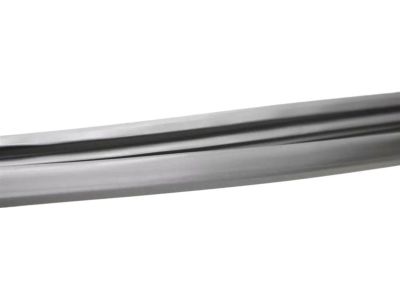 Mopar 55399191AE Weatherstrip Front Door Glass Running