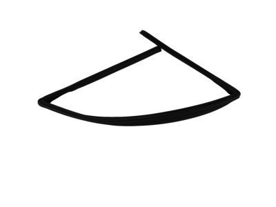 Mopar 55399191AE Weatherstrip Front Door Glass Running