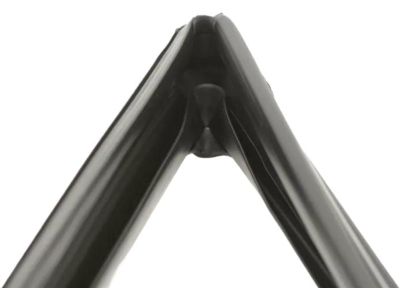 Mopar 55399191AE Weatherstrip Front Door Glass Running