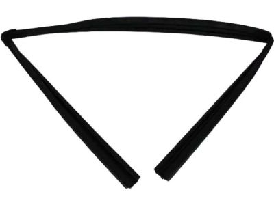 Mopar 55399191AE Weatherstrip Front Door Glass Running